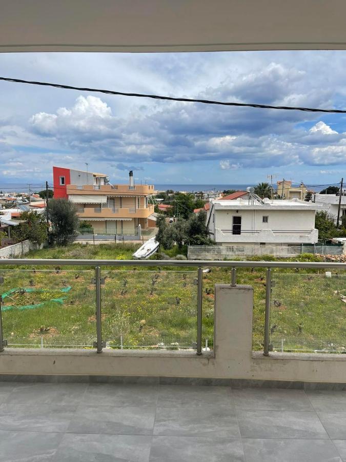 Airport View Apartment *
